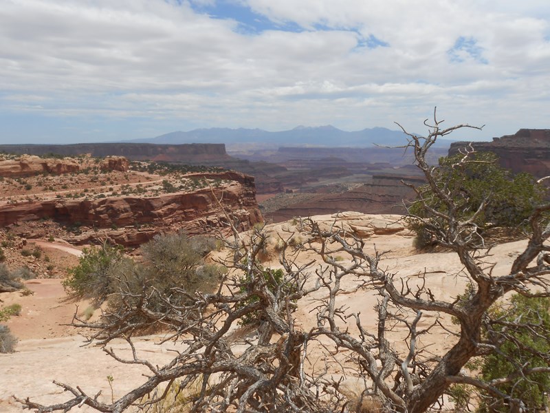 Canyonland - Moab (UT)